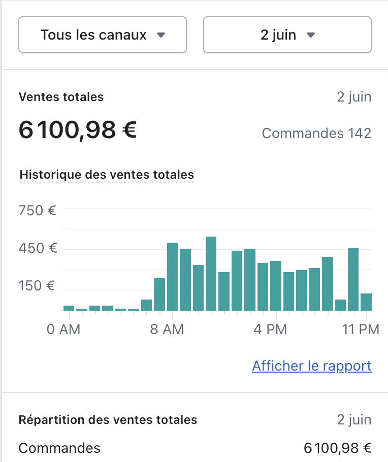 Témoignage autre de Client : 6 100,98 € de ventes totales en une seule journée